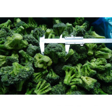 New Crop IQF Frozen Broccoli